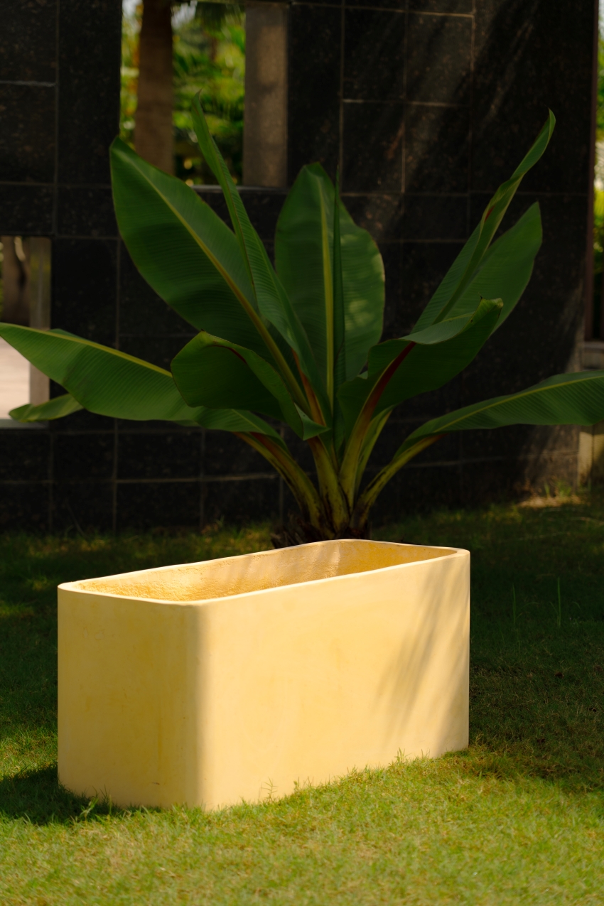 Modern Planter